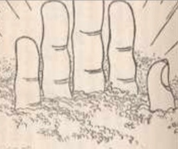お釈迦様の手のひら.jpg