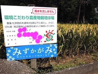 みずかがみ.jpg
