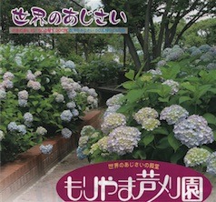 もりやま芦刈園2018と2019.jpg