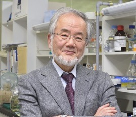 ノーベル賞の大隅良典(おおすみよしのり).jpg