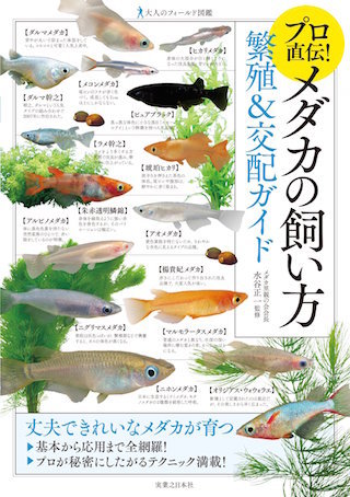 メダカの飼育方法.jpg