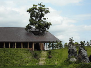 ラ・コリーナ 近江八幡の木の名前はクスノキ.jpg