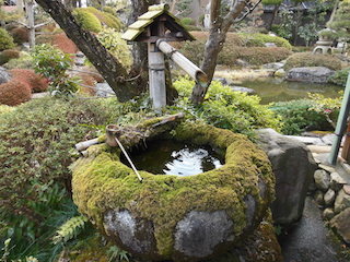 五個荘近江商人屋敷の中江準五郎邸の庭園.jpg