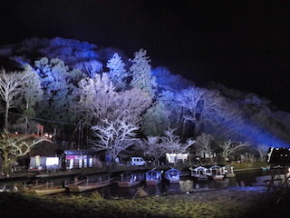 京都の嵐山ライトアップ.jpg