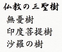仏教の三聖樹.jpg