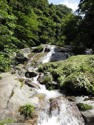 伊吹山西麓地域の五色の滝(滋賀ぐるっと博).jpg