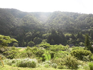 伊吹山西麓地域の新緑の山の景色.jpg