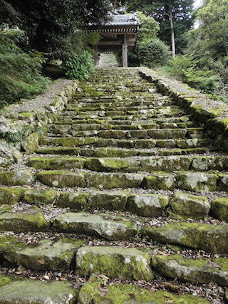 伊崎寺の苔の石段.jpg