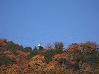 八幡山山頂ロープウェイと紅葉.jpg