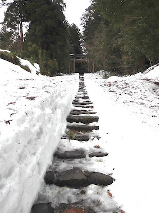 冬の平泉寺白山神社.jpg