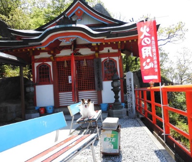 北向岩屋十一面観音(滋賀県の観音様と仏像)