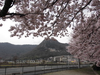 太郎坊山(太郎坊宮)と桜の景色.jpg