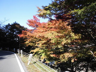 奥永源寺の紅葉スポット.jpg