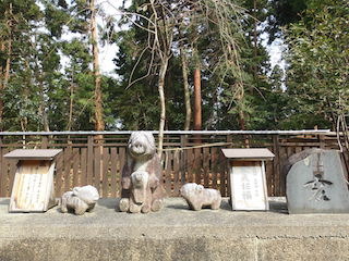 干支のお守り石(亥いのしし).jpg