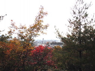 延命公園から見た東近江市街地の風景.jpg