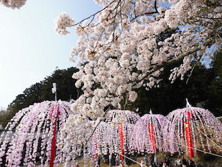 日枝神社(滋賀県日野町大窪)の南山王祭.jpg