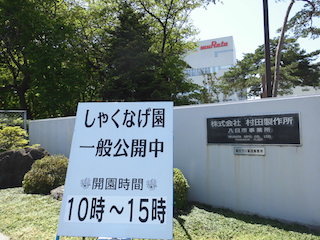 村田製作所八日市事業所のしゃくなげ園一般公開 滋賀県東近江市 能登川地区 故郷の町おこし