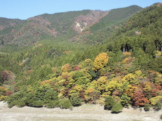 東近江市の山の紅葉