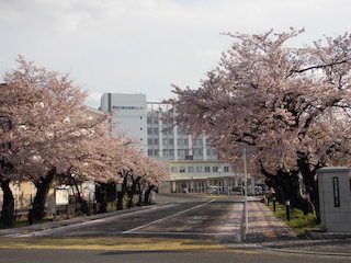 東近江総合医療センター.jpg