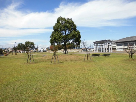 林中央公園