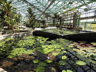 水生植物公園みずの森の温室.jpg