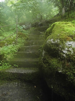 河内風穴の森の中の苔石段.jpg