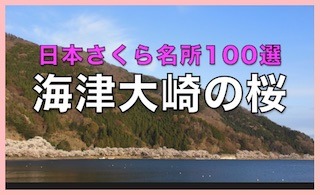 CÑ͓̍{疼100I.jpg