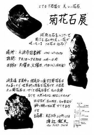 渡辺徹夫さんの菊花石展.jpg