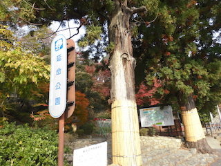 滋賀県東近江市の延命公園.jpg
