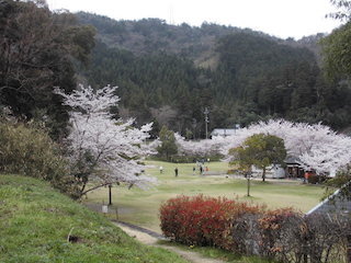 滋賀県東近江市の繖公園(きぬがさこうえん).jpg