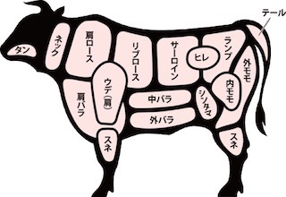 牛肉の部位のイラスト.jpg