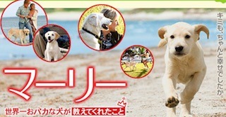 犬が活躍する映画.jpg