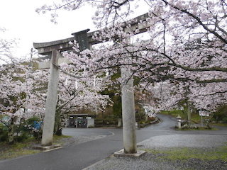 猪子山の繖山上山天満天神社の鳥居.jpg