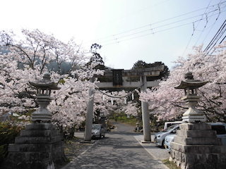 猪子山公園のお花見スポット.jpg