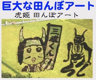 田んぼアート.jpg