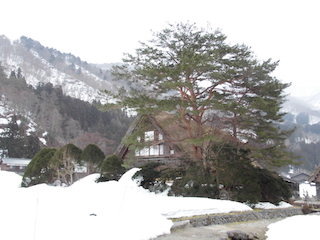 白川郷の和田家住宅.jpg