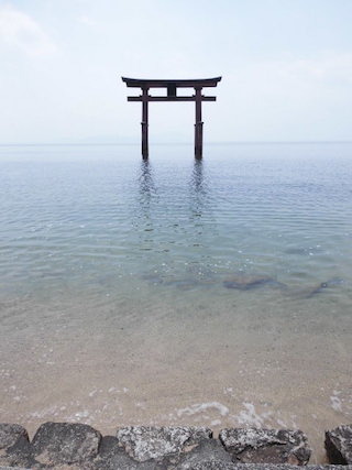 白髭神社の鳥居.jpg