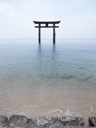 白髭神社の鳥居(水の文化ぐるっと博).jpg