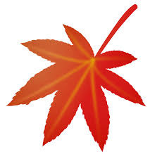 紅葉.jpg