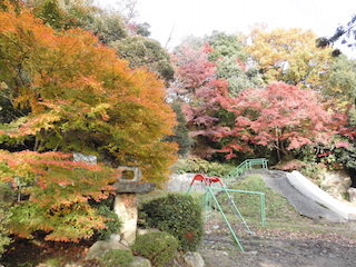 紅葉の美しい児童公園.jpg
