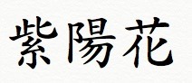 紫陽花アジサイ漢字.jpg