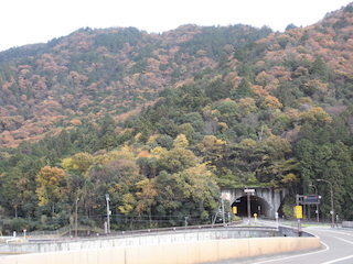 繖山トンネルと山の紅葉名所.jpg