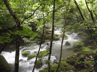 芹川の上流の景色.jpg