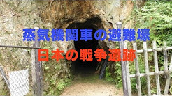 蒸気機関車避難壕(米原の太平洋戦争遺跡).jpg