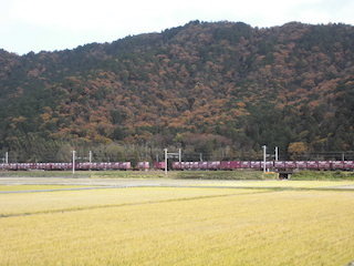 貨物列車の撮り鉄と田園風景.jpg