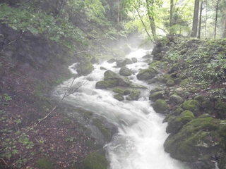 霧がかかって幻想的な川の風景.jpg