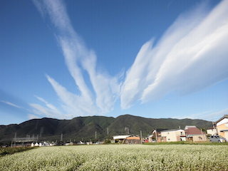 面白い雲の風景(永源寺方面).jpg