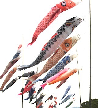 삱̂ڂ.jpg