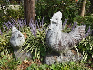 鶏の石材(鶏石).jpg